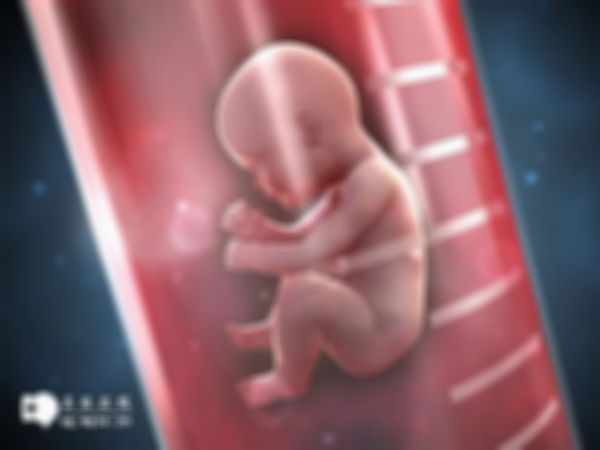 石家庄什么医院做试管婴儿最好？内附医院介绍和技术分析