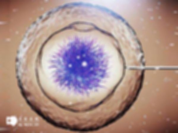 在呼和浩特做试管婴儿的费用是多少呢？附上价格影响因素