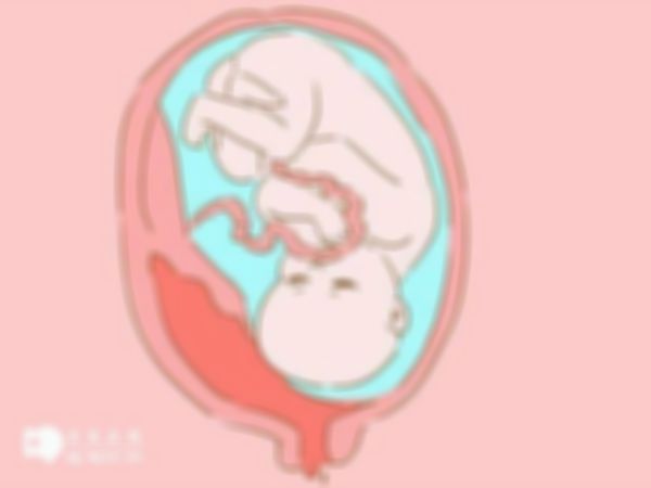 2023年金华试管婴儿大概要多少钱？附时间安排与费用构成