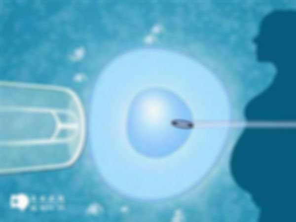 西安试管婴儿助孕套餐价格有多高？内附项目及费用明细