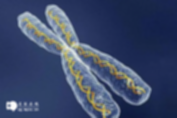 16号染色体异常生出来的孩子健康吗？做三代试管能避免问题出现