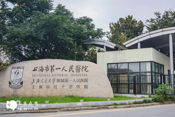 上海第一人民医院试管婴儿价格发布，费用项目与成功率一览