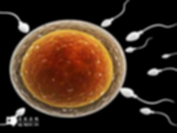 2023年天津试管婴儿医院选择攻略，附上宫腔粘连技术介绍！