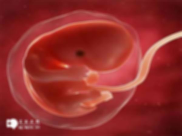 2023年昆明三甲公立医院试管婴儿费用构成如何？附上花费预估