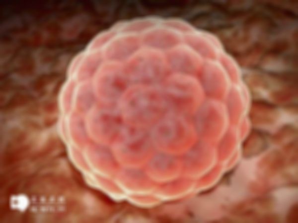 俄罗斯第三代试管婴儿怎么样？内附PGS和PGD及NGS技术介绍