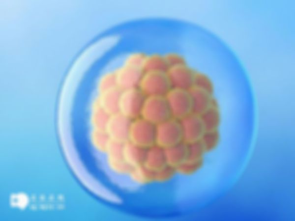 宜昌第三代试管婴儿可以筛查哪些遗传病？附上筛查的常见遗传病