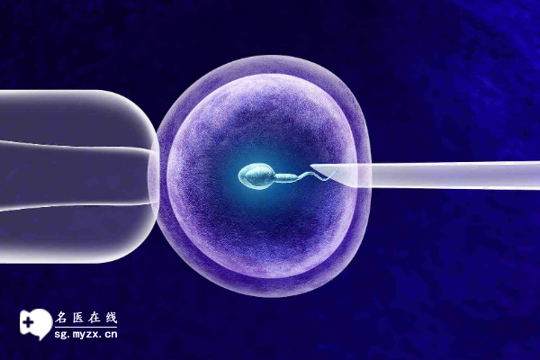 泰国试管婴儿费用是多少？与国内试管价格相差一半