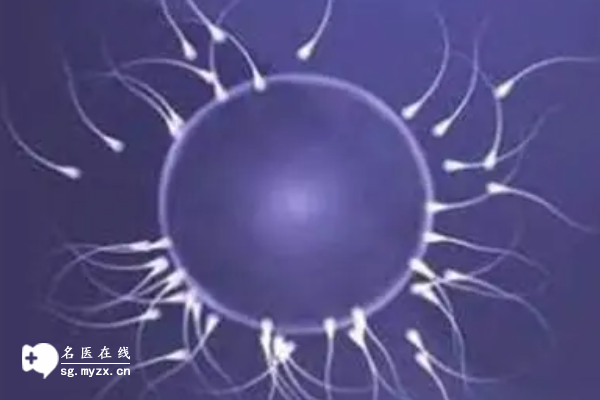 男性精子質量差可以做試管嬰兒嗎?內附治療方案