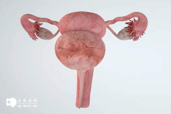 卵巢萎缩可以做试管婴儿吗？附上挑战和治疗方案