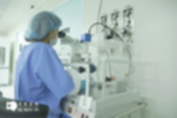 泰國試管嬰兒成功率解析,這些風險需要注意