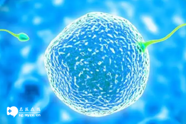 醫院可以做試管嬰兒嗎?附上可以做的治療方案介紹