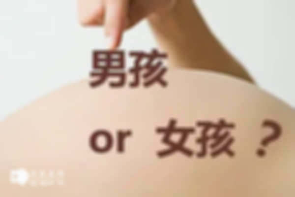 从囊胚中也能看出是男是女？附囊胚判断性别的两种方式