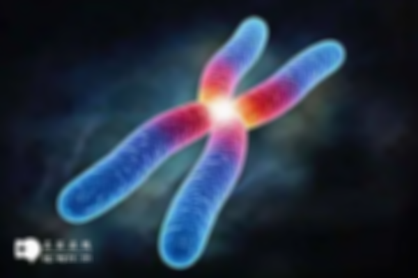 11号染色体倒位对胎儿的影响很大，附11号染色体倒位的症状