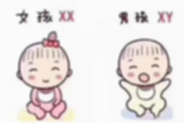 河源三代试管婴儿可以选男女吗？内附争议和风险