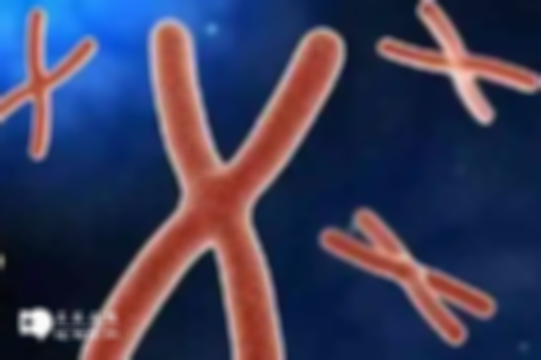 6号染色体三体是母体导致的吗？这篇文章告诉你答案！