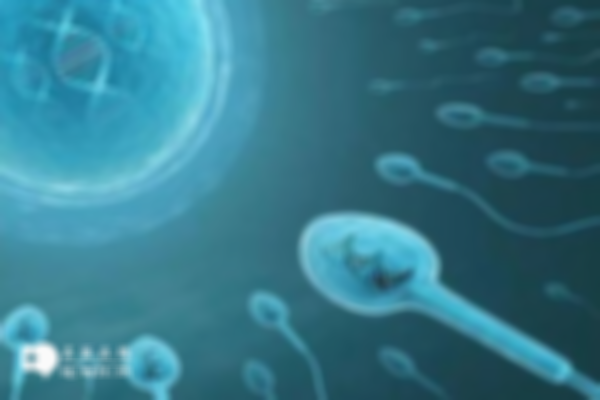 男性精子质量不好可以做试管婴儿吗？附上原理介绍