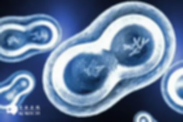 y染色体微缺失做试管婴儿可以吗？附上方法和风险