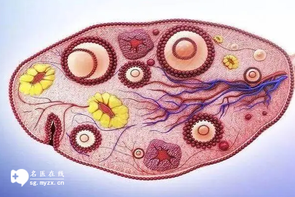 内膜19mm无法确定怀孕着床？了解这些检查排除癌变的可能性