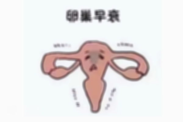 卵巢早衰女性生育推荐用试管的方式，成功率能大幅提高
