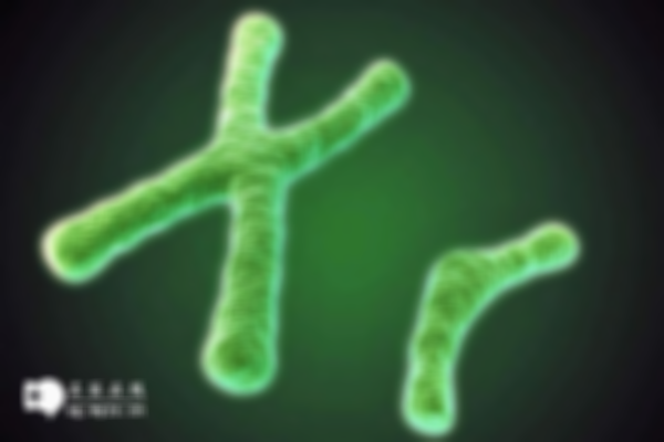2号染色体异常的后果公示：三体现象和胎儿症状一览！