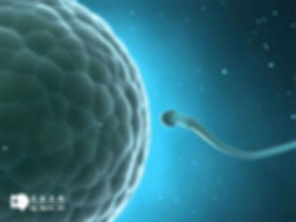 日本试管婴儿有哪些最快的流程？附上申请流程详解