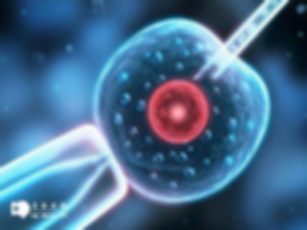 2024年日照有没有不孕不育的医院？本市暂时没有设立试管助孕机构