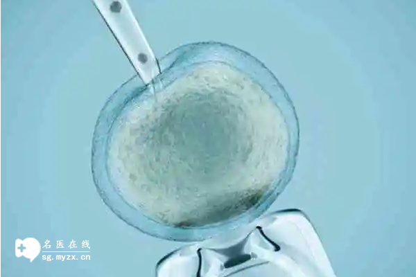 试管移植鲜囊胚还是冻囊胚？两种方式有各自的优势