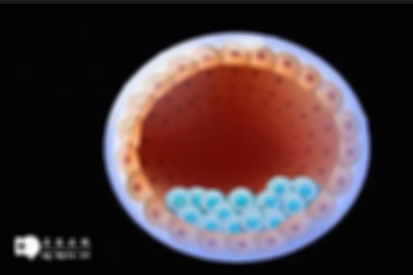 高龄做试管还能养囊吗？4个好处分享