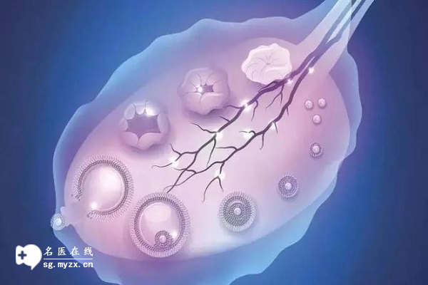 试管短方案和长方案有什么区别？时间长短并不是唯一区别