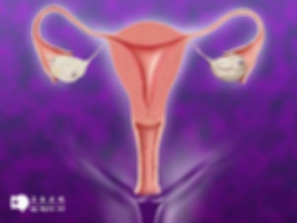 输卵管阻塞是否只能做试管婴儿怀孕？解析其他治疗方法