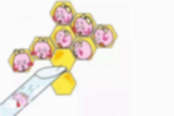 试管黄体期促排方案会有时间差异吗？具体时间安排和关键步骤对比