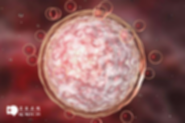 试管超长方案促排一共需要多少天？取卵与卵泡发育的情况分析