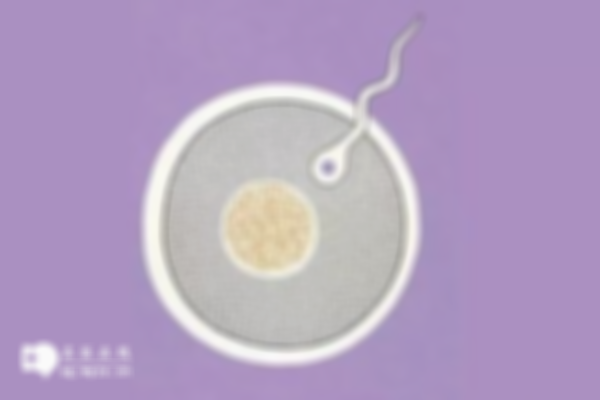 试管婴儿测卵泡是否重要？三个最佳时间详细解析