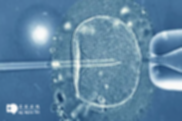 試管嬰兒在美國是否安全可靠？了解基本原理和安全性