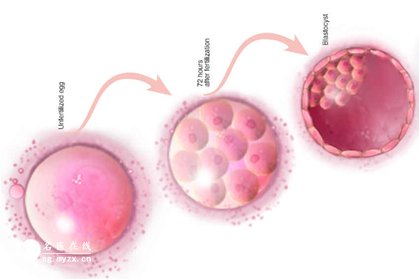 试管移植前内膜转化攻略：打针时间和剂量全在这里！