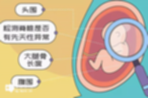 试管婴儿怀孕后的必备检查：280天最全产检时间表分享！