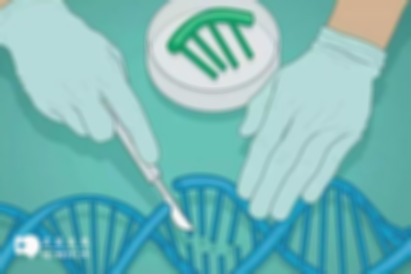 单基因遗传病进行三代试管，可以帮助排除遗传以及健康生育！