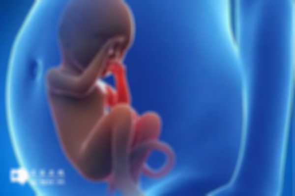 試管嬰兒移植后的出行攻略!私家車回家需注意急剎和顛簸