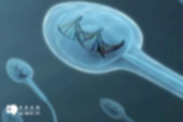 精子碎片率高会对试管养囊产生影响，了解这些原因就知道能不能成功！