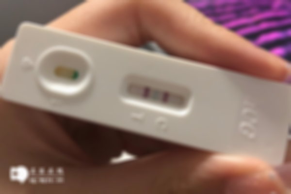 验孕棒验孕快捷又方便，附验孕棒的使用方式及结果解读