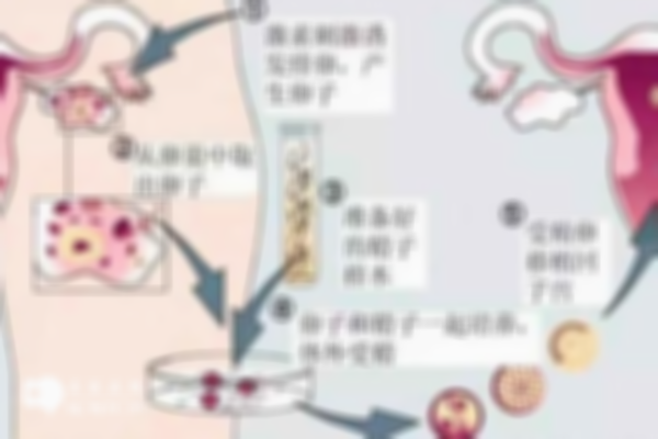 沈阳私立医院试管流程分享，单次试管分为六个步骤