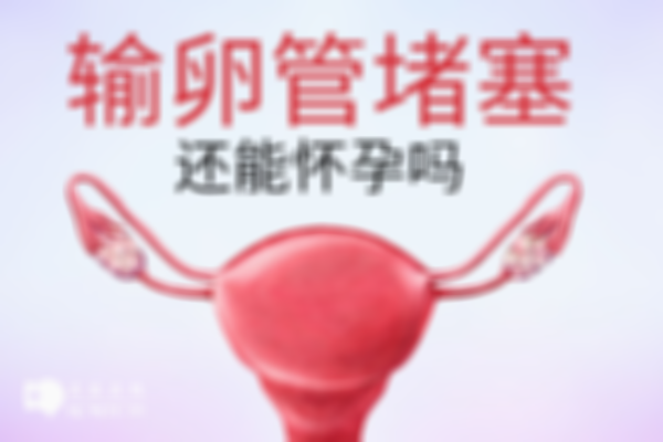 输卵管堵塞不治疗能怀孕吗？直接做试管也能成功怀孕