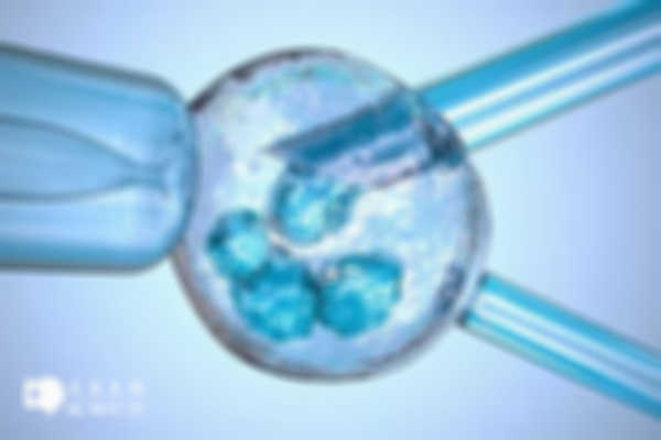 做試管移植兩個囊胚怎么樣?成功率高不高看這些方面