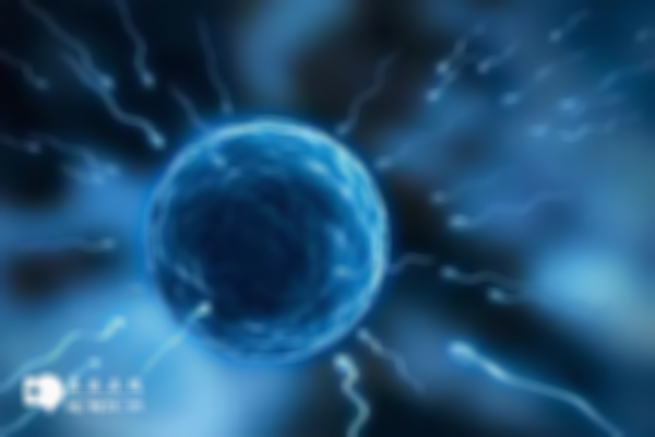 精子碎片率高、畸形怎么办，二三代试管帮你解决生育难题！