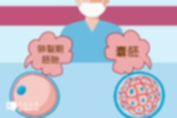 高龄做试管养囊的好处你知道多少，这4个优势你不得不知！