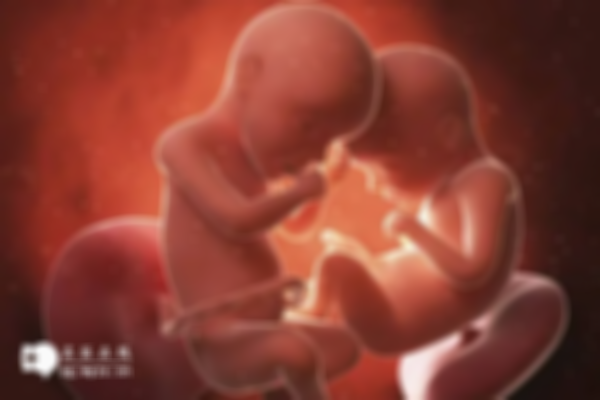 可以怀双胞胎的5种方法：快来自测你的怀孕几率