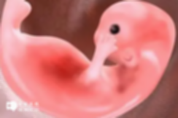 8a内膜容易着床吗？好着床且试管成功率高！