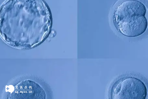 子宫内膜10mm能不能移植鲜胚？听听医生的答案