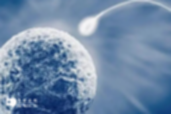 女性不懷孕的原因是什么