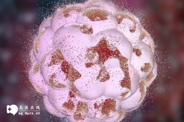 冻胚移植第十九天出血先别着急，医生在线教你应对方法